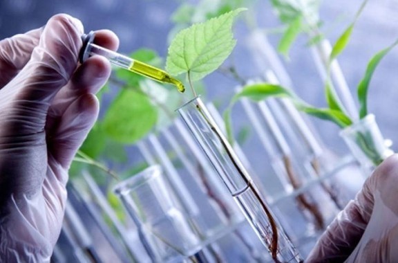 Organización Mundial de Comercio publica declaración a favor de la innovación agrícola y biotecnología de precisión