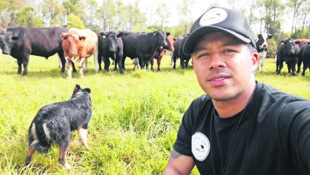 Pastoreo dirigido: el aporte de los perros pastores a la ganadería
