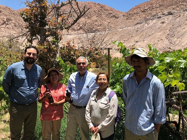 Ministerio de Agricultura apoya rescate de cepa patrimonial de vino Pintatani