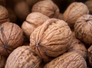 ChileNut: Sorpresivas lluvias afectarán entre un 2 y 3 por ciento de la producción estimada de nueces para 2019