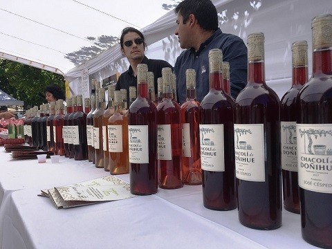 A través de la valorización y tecnificación rescatan tradicional vino Chacolí de Doñihue