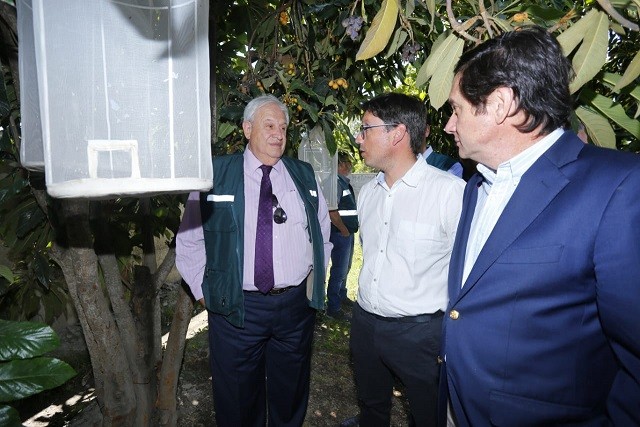 Con innovadora técnica SAG busca controlar a la polilla del racimo de la vid en zonas urbanas