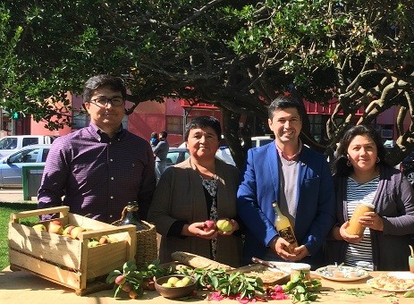 Cooperativa gana concurso de innovación para valorizar manzana ancestral chilota a través destilados