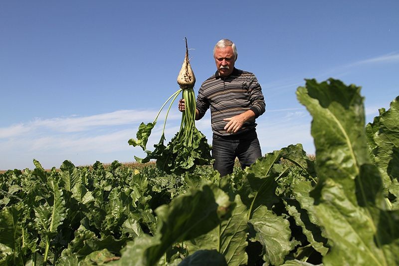 Rusia invierte más de US$1.700 millones para desarrollar variedades vegetales y animales vía edición de genes