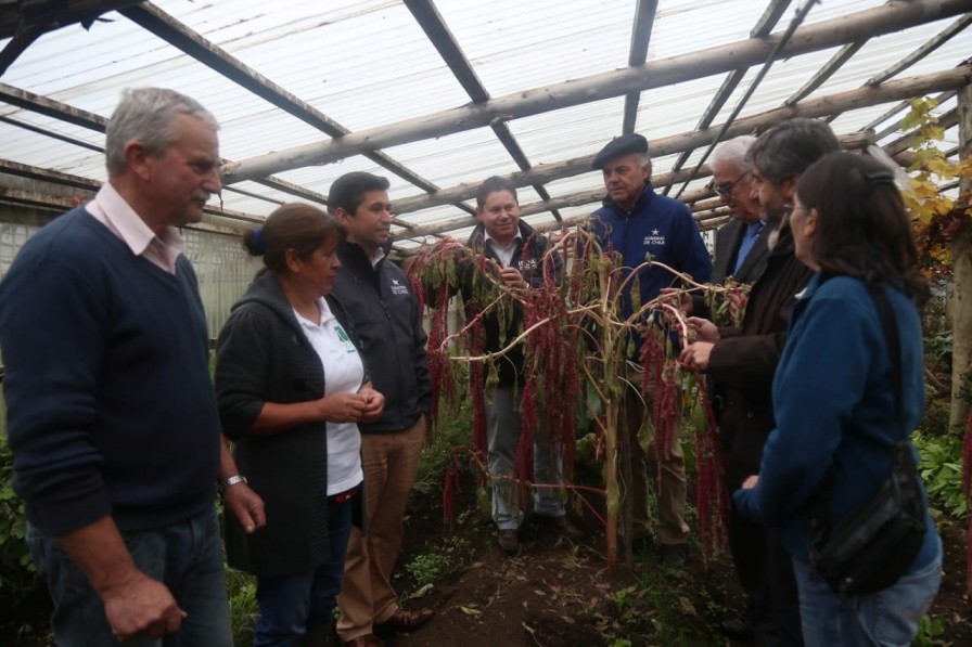 Ministro Walker en isla de Chiloé: “La cooperativa Chilcoop es un ejemplo vivo de las ventajas de la asociatividad”
