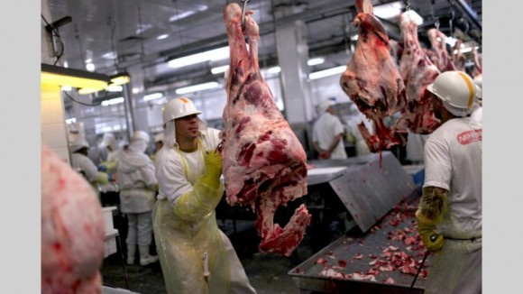 FAO: leve reducción en la producción mundial de carne en 2019