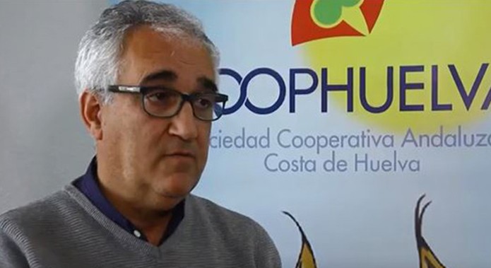 El gerente de Costa de Huelva, Bartolomé Fernández, intervendrá con una ponencia en el XVII Seminario Internacional Blueberries de Sevilla