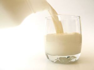 Los productos lácteos basados en leche de origen animal sobrevivirán a otros tipos de productos mal llamados «leches»