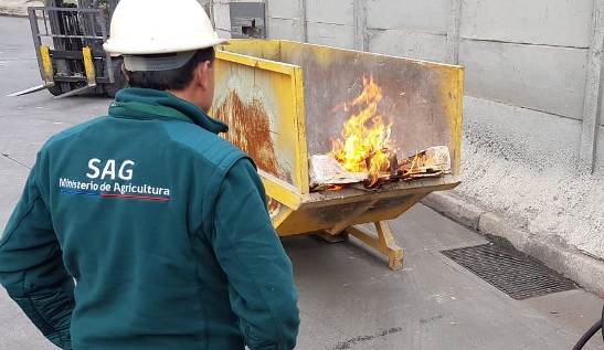 Chile : SAG O’Higgins interceptó plaga en pallets de embalaje procedente de China