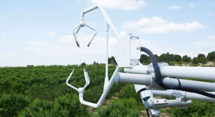 Ciencia y tecnologías para el uso eficiente del agua en la agricultura