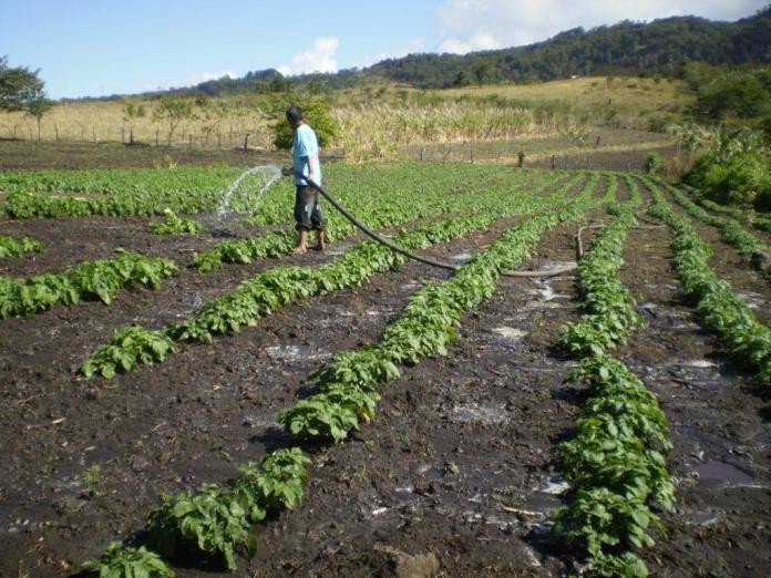 Secretario Ejecutivo de la Comisión Nacional de Riego recalca necesidad de explorar nuevas fuentes de agua