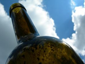 Cambio climático: así se alterará el negocio del vino a nivel mundial
