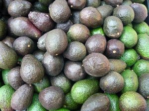 La producción del ‘oro verde’ se expande a nivel mundial