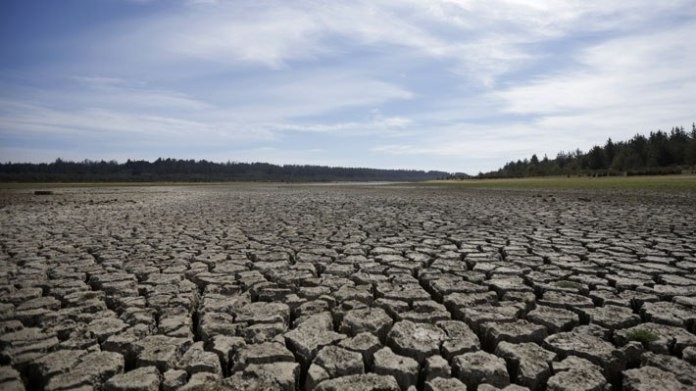 Conaf advierte que reserva del Lago Peñuelas se secará en marzo producto de la ausencia de lluvia e incendios forestales