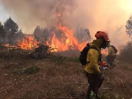 Incendios forestales aumentan 12% esta temporada y afectan a 73.704 hectáreas