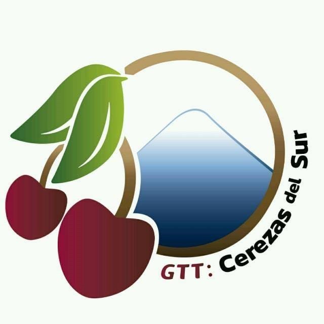 GTT CEREZAS DEL SUR SOSTUVO REUNIÓN DE TRABAJO BAJO MODALIDAD A DISTANCIA