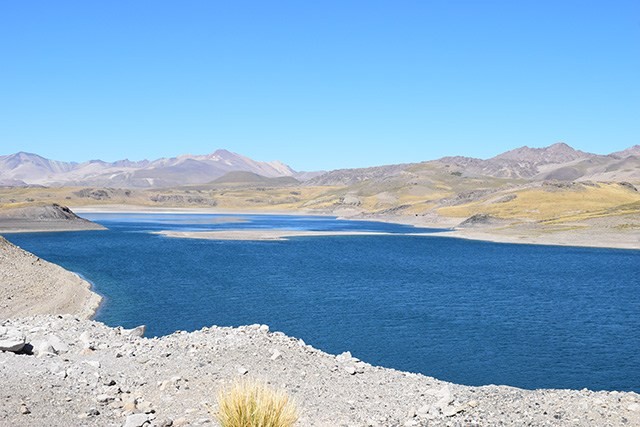 Regantes se unen para no perder agua extraída desde la Laguna del Maule