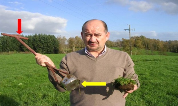 Cómo evaluar y controlar plagas en otoño e invierno