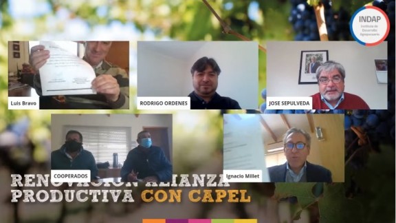BENEFICIADOS 76 PRODUCTORES DE UVA PISQUERA MEDIANTE RENOVACIÓN DE CONVENIO ENTRE INDAP Y CAPEL