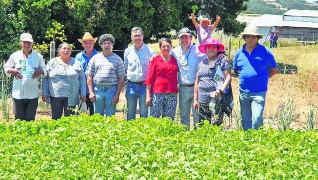 Cómo Chile pasó de exportador de legumbres a depender de las importaciones