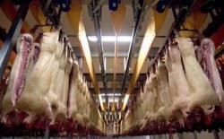 Rabobank prevé inestabilidad en el mercado porcino debido a la evolución de la covid-19 a nivel mundial