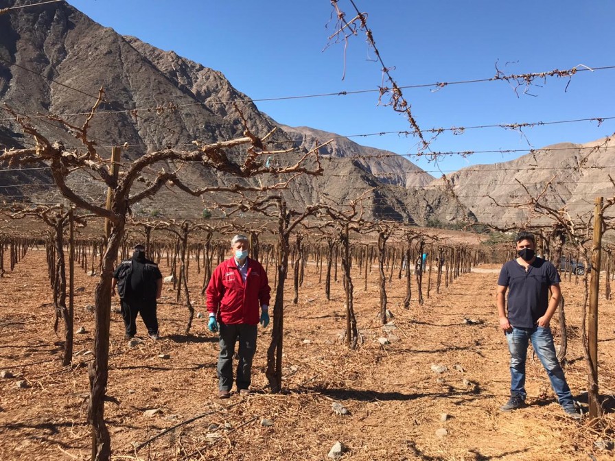 Con el apoyo de APECO y ASOEX productores agrícolas del Valle de Copiapó se preparan para enfrentar el Covid-19 en el marco de una nueva temporada