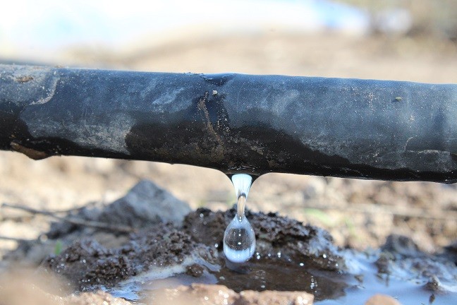 Desalinización de aguas para riego agrícola: una oportunidad ante la sequía en Chile