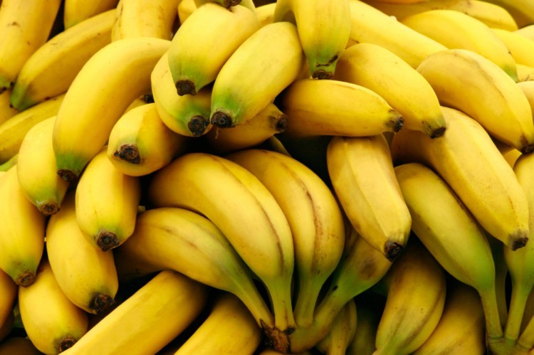 La carrera por salvar al plátano de su extinción