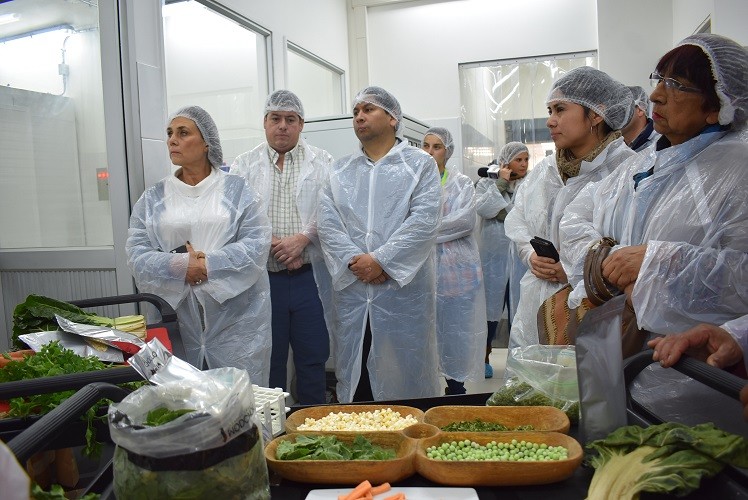 Nutrición: Crean suplemento vitamínico de hortalizas cultivadas en La Araucanía