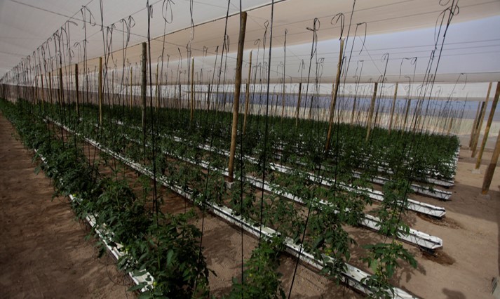 Definen seis ejes clave para instaurar el primer Laboratorio Natural para la Agricultura en el Desierto