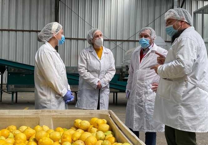 Dan a conocer plan Paso a Paso Laboral para el sector agrícola