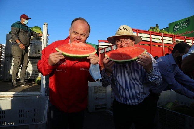 Ministro Walker inaugura temporada de sandías de Paine y felicita tecnificación de los productores