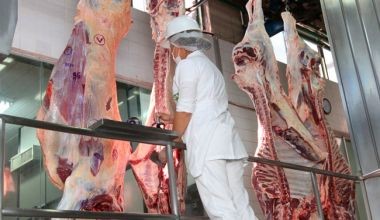 China y EE.UU. lideran las importaciones mundiales de carne de vacuno