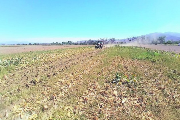 Agricultores calculan daños y emplazan a Colbún tras derrumbe de canal de regadío