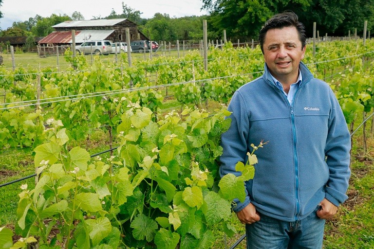 Ulagos y Viña Casa Klocker Prambs desarrollan investigaciones sobre vino espumante único en el país