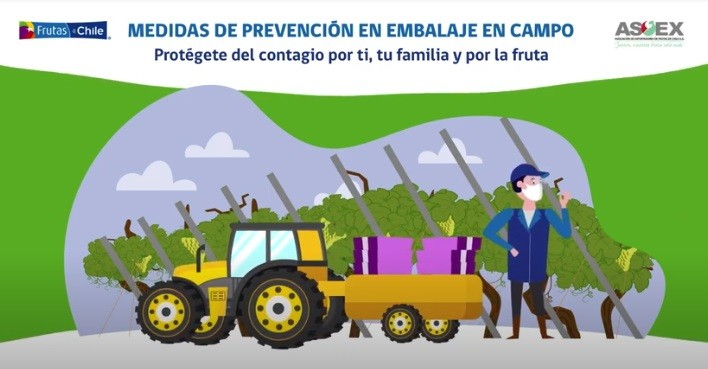 Sector Frutícola de Chile refuerza prevención del Covid-19 con videos educativos, Guías, Manuales y Listado de Verificación
