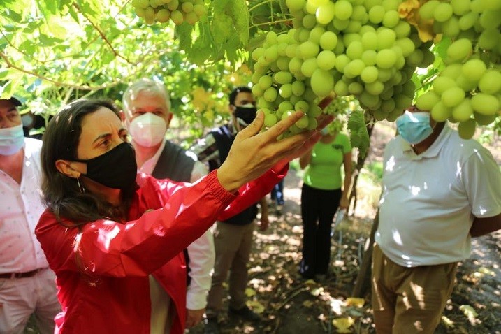 Ministra Undurraga declara emergencia agrícola para las provincias de San Felipe y Los Andes en la región de Valparaíso