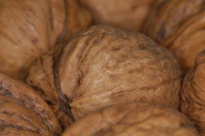 Pronóstico Rabobank: Producción y exportaciones de nueces batirán récord en temporada 2020/21