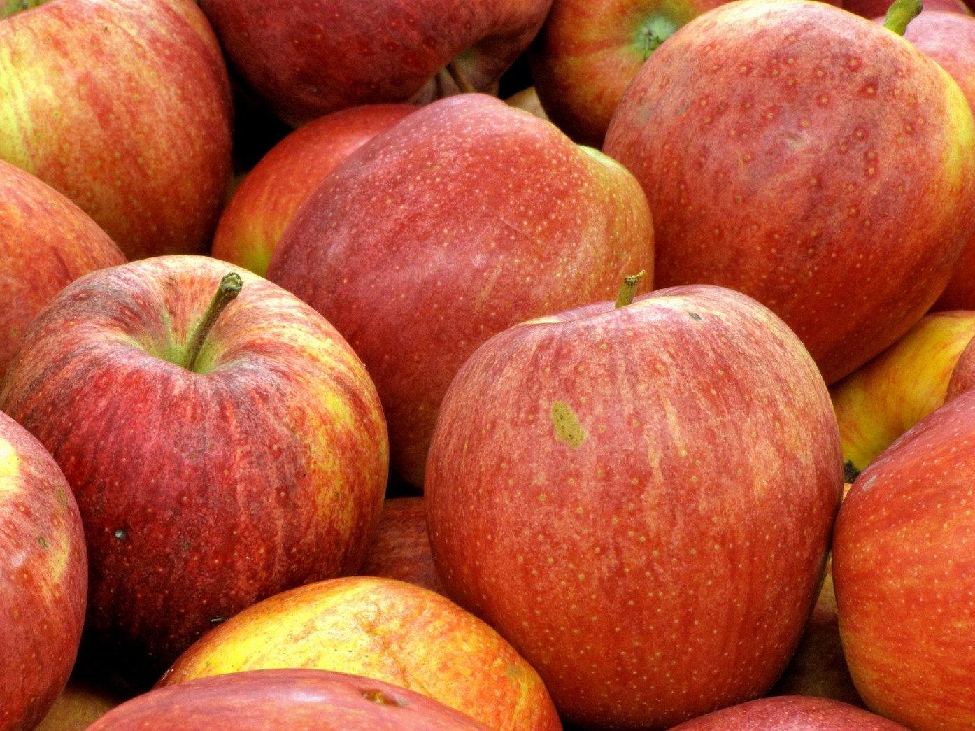 Grandes reservas de manzanas chinas, precios futuros a la baja