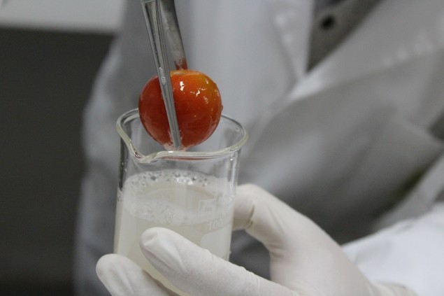Prototipo INIA de nanocompuesto de origen natural es evaluado para ofrecer soluciones a la hortofruticultura