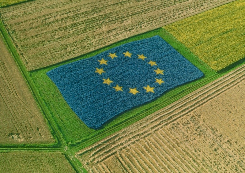 Comisión Europea concluye que la edición de genes en vegetales puede contribuir a un sistema alimentario más sostenible