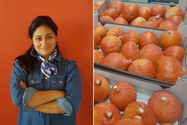Los primeros zapallos Hokkaido bío producidos en Chile llegan a Europa