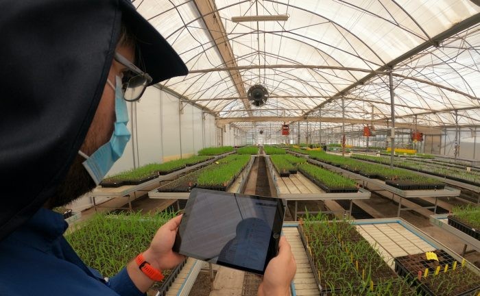 Arica y Parinacota avanza hacia una agricultura más sustentable y tecnológica