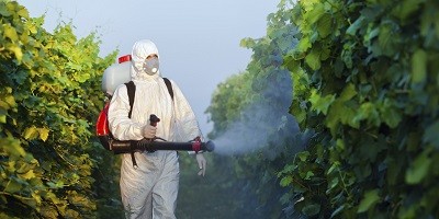 Berries: Canadá se retracta de prohibición de pesticida Imidacloprid, pero establece restricciones