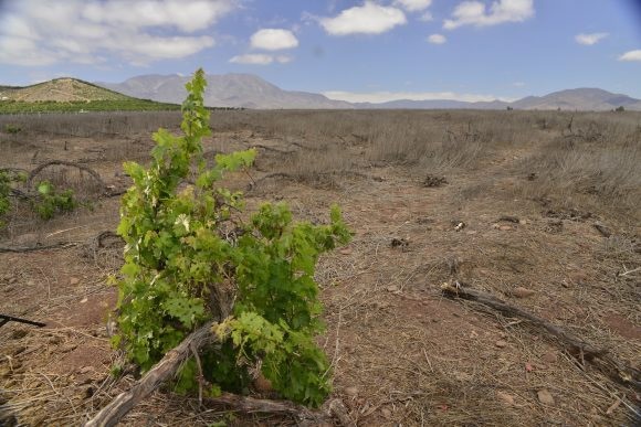 CEAZA SOBRE SITUACIÓN DE COQUIMBO: BAJAS PRECIPITACIONES EN LA REGIÓN PODRÍAN CONTINUAR HASTA EL 2022