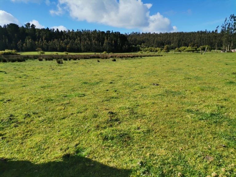 Realizaron estudio orientado a mejorar la producción agrícola en la provincia de Arauco