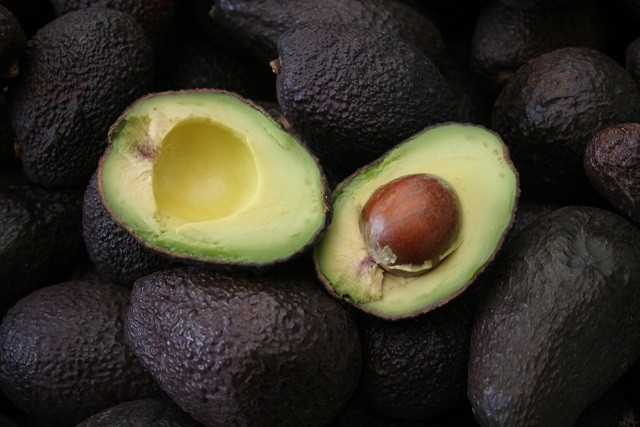 Informe FAO-OCDE: Producción mundial de palta alcanzaría los 12 millones de toneladas para 2030