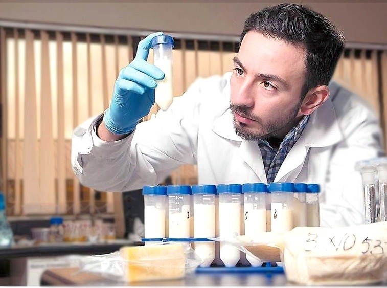 Estudio INIA pretende determinar el nivel de contaminantes que podrían afectar la inocuidad en la carne ovina del sur de Chile