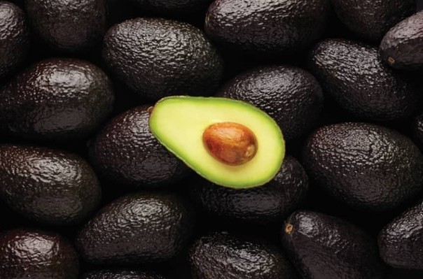 LLEGANDO A 3,9 MEGATONELADAS MUNDIALES EXPORTADAS, PRONOSTICAN LA PALTA COMO LA FRUTA TROPICAL MÁS COMERCIALIZADA AL 2030