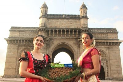 Avance de temporada 2020-2021: 133% crecen exportaciones de frutas frescas chilenas a India